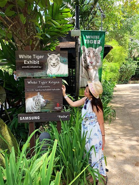 Singapore Zoo Animals And Zones The Lifestyle Section