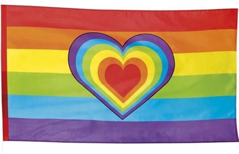 Regenboog Vlag Pride Vlag Gay Pride Flag Regenboog Vlag Met