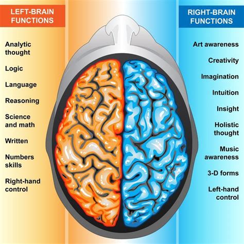 Right brain, it's essential to talk about logic and analytical thinking. Left-Right Brain Integration, Increase Cross-Talk Between ...