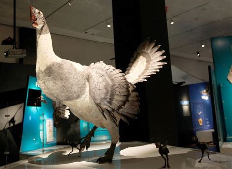 Fine Feathered Fiends ‘dinosaurs Among Us At The American Museum Of Natural History Published