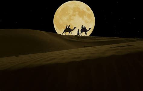 Night The Moon Desert Camels For Hd Wallpaper Pxfuel