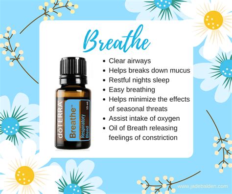 Breathe 🇺🇸 Easy Air Respiratory Or Respiration Essential Oil Blend