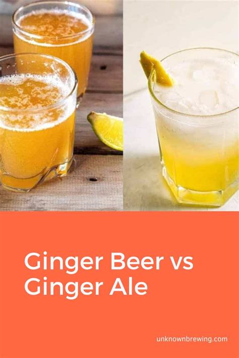 ginger beer vs ginger ale their difference put to test