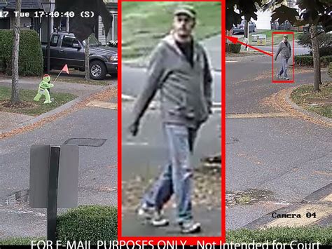 Surrey Rcmp Ask For Publics Help Identifying Suspect In Sex Assaults Vancouver Sun