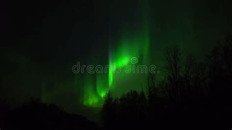 Aurora Borealis Polar Lights Northern Lights Night Alaska Solar