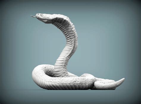 Top 151 Imagenes De Cobras En 3d Destinomexicomx
