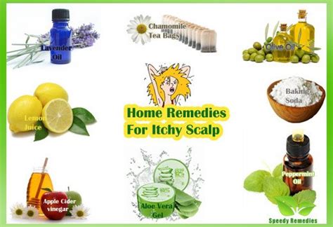 Home Remedies For Itchy Scalp Speedy Remedies