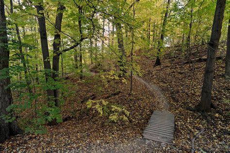 10 incredible hiking trails in and around Toronto
