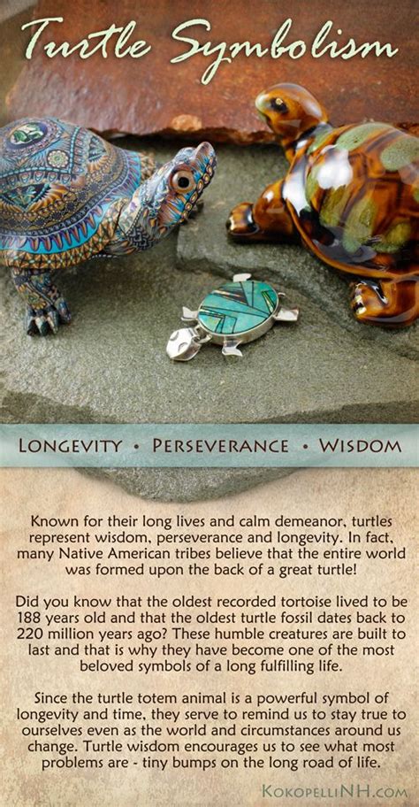 The Turtle Is A Native American Symbol Of Wisdom