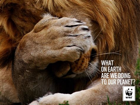 The Latest Print Ad Campaign For The Wwf World Wildlife Foundation