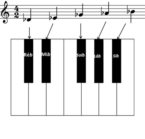 Notas De Teclado E Piano Aprenda A Decorar Teoria Musical Piano