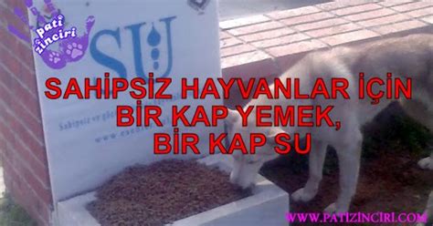 Patİzİncİrİ Sahİpsİz Hayvanlar İÇİn Bİr Kap Yemek Bİr Kap Su