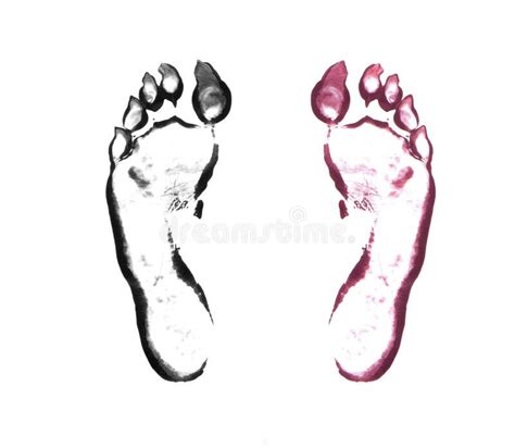 Bloody Paw Prints Stock Photos Free And Royalty Free Stock Photos From