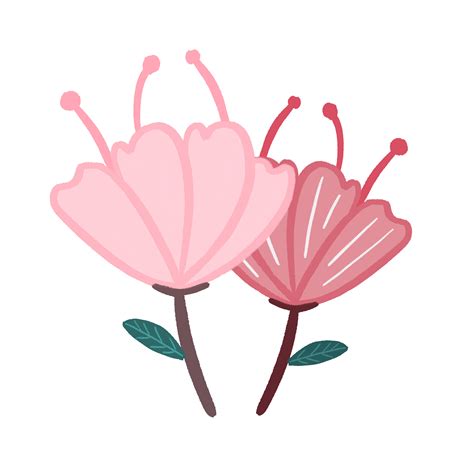 Animasi Bunga Sakura Bergerak  9 187  Images Download Riset