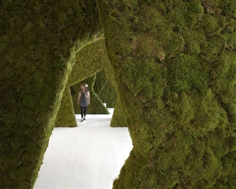 Moss Your City Landscape And Urbanism Green Architecture Landscape