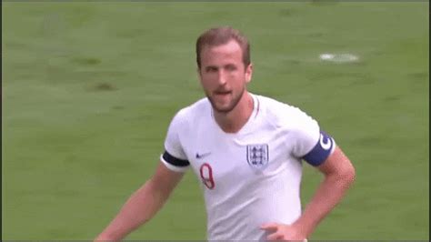 And the celebrations continued online with some amazing. Harry Kane Football GIF by England - Find & Share on GIPHY