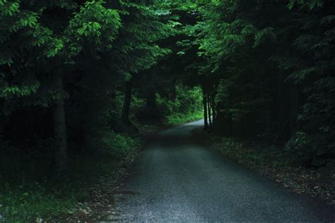 Pin By Didgette Bodily On My Special Place Forest Road Night Forest