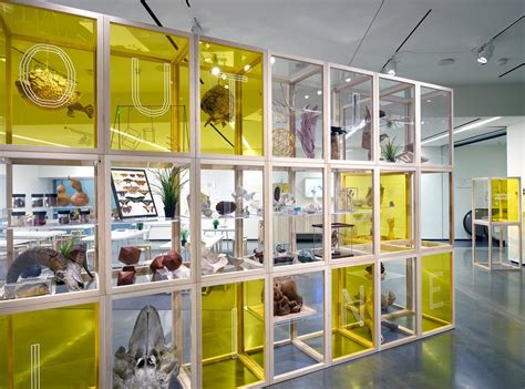 Exhibition Design Risd Museum