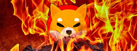 Shiba Inu Burn Portal Prizes Are Now Available To Shib Burners The