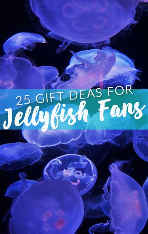 Types Of Jellyfish 10 Different Jellyfish Species Ocean Scuba Dive
