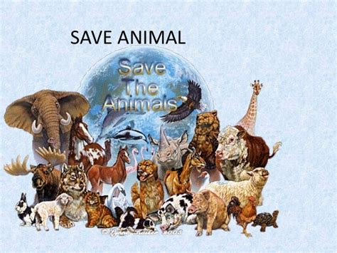 Save Animals 2