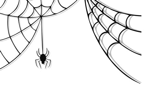 Spider Hanging From Web Drawing Png Clip Art Library