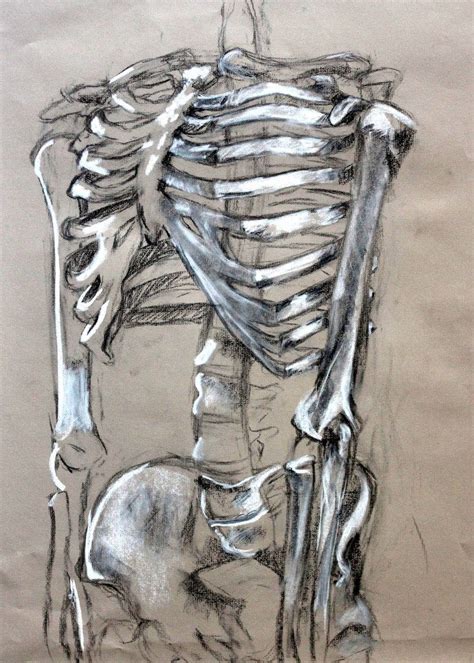 Image Result For Skeleton Drawing Skeleton Drawings Sketchbook Art Inspiration Gcse Art