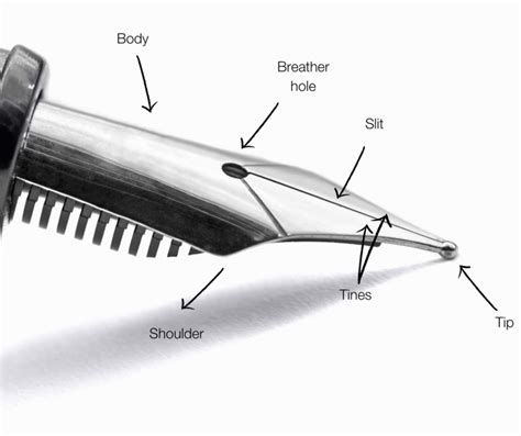 A Beginners Guide To The Fountain Pen Nib The Pen Company Blog