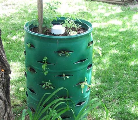 Projects Using A 55 Gallon Drum On The Homestead Homesteading Simple