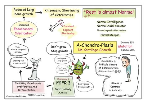 Pituitary Dwarfism Vs Achondroplasia Dwarfism