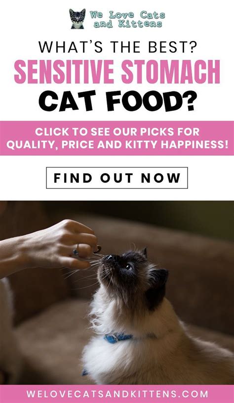 What to look for in a sensitive stomach cat food. Best Cat Food for Sensitive Stomach Cats : Reviews and Cat ...