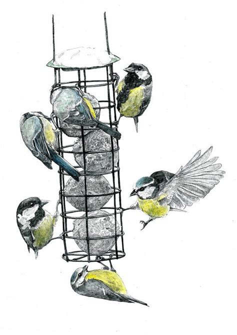 Print The Bird Feeder Pencil Drawing Etsy Uk Drawings Bird Prints