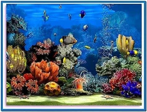 Living Marine Aquarium 2 Screensaver Download Screensaversbiz