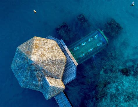 Conrad Maldives Underwater Hotel Suite Average Joes