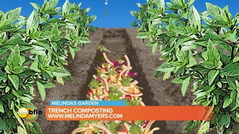 How To Do Trench Composting