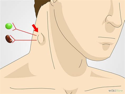 How To Check Lymph Nodes Lymph Nodes Lymph System Lymphatic Massage
