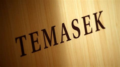 Sommaire 1 origine 2 gestion 3 transparence et audit 4 encours et participations … wikipédia en français. Temasek explores buying stakes in HNA units Gategroup, Swissport