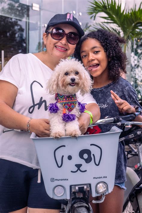 Opening Hearts And Homes: The Magic Of Adopting A Furry Friend - Muvon