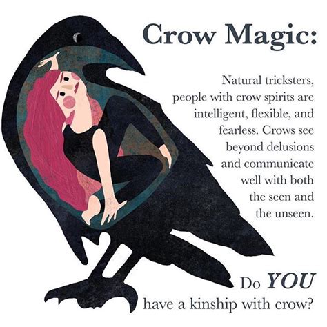 Crow Spirit Animal Meaning ~ Click The Link Below For More Animal