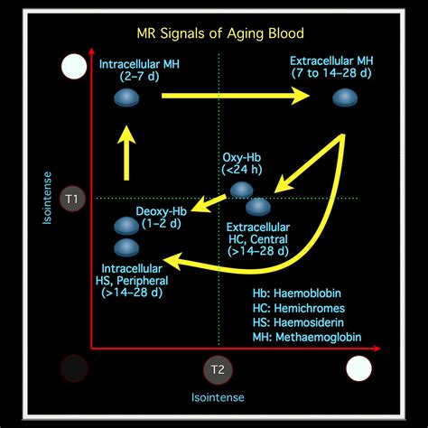 Mri Blog Mr Signal Intensity Of Aging Blood