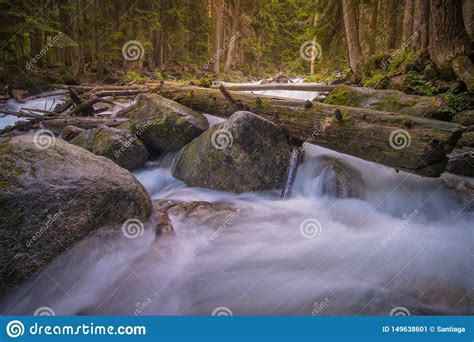 Rushing Blue River In A Mountain Forest Stock Image Image Of High