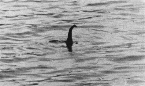 The Loch Ness Monster Nessie Spotted In Alaska Daily Star