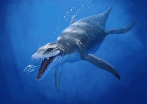 10 Prehistoric Sea Creatures Were Thankful Are Extinct
