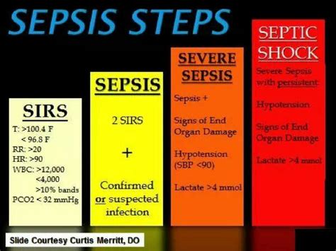 Steps Of Sepsis Nursing Pinterest Sepsis Medical And Nclex