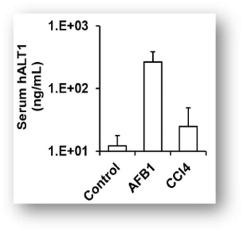 The experimental results substantiates that curcumin intervention ameliorates the afb(1) induced toxicity. Toxicity of Aflatoxin B1 in vitro and in vivo - KMT Hepatech