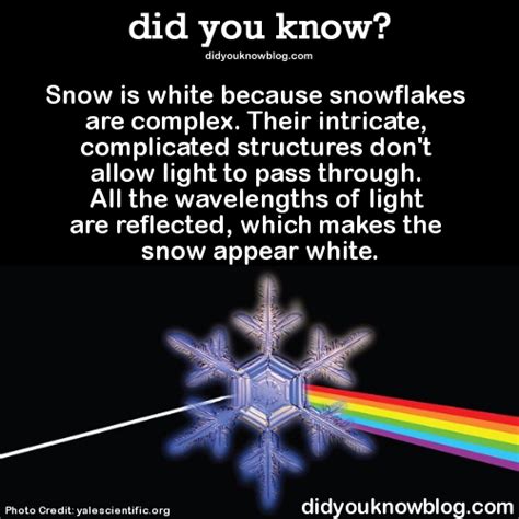 A Snowflake With The Words Did You Know And An Image Of A Rainbow