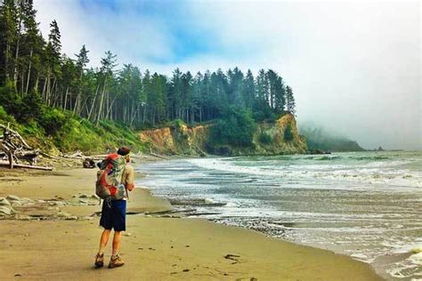 11 Best Hikes In Olympic National Park Mountain Iq