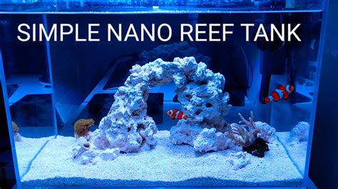 Simple Nano Reef Tank No Skimmer No Sump Youtube