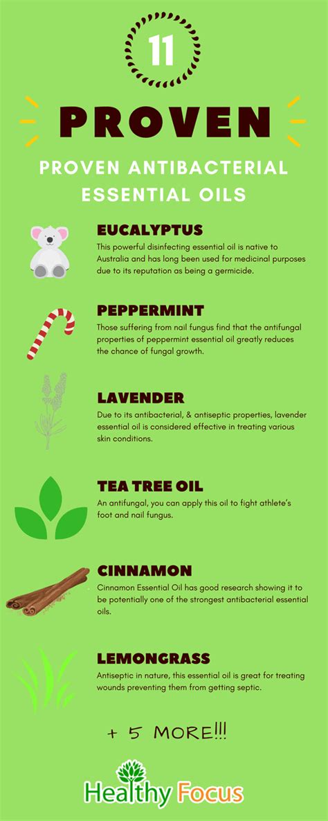 11 Proven Powerful Antibacterial Essential Oils Healthy Focus