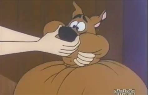 Filescooby Doo Inflation 16png The Big Cartoon Wiki